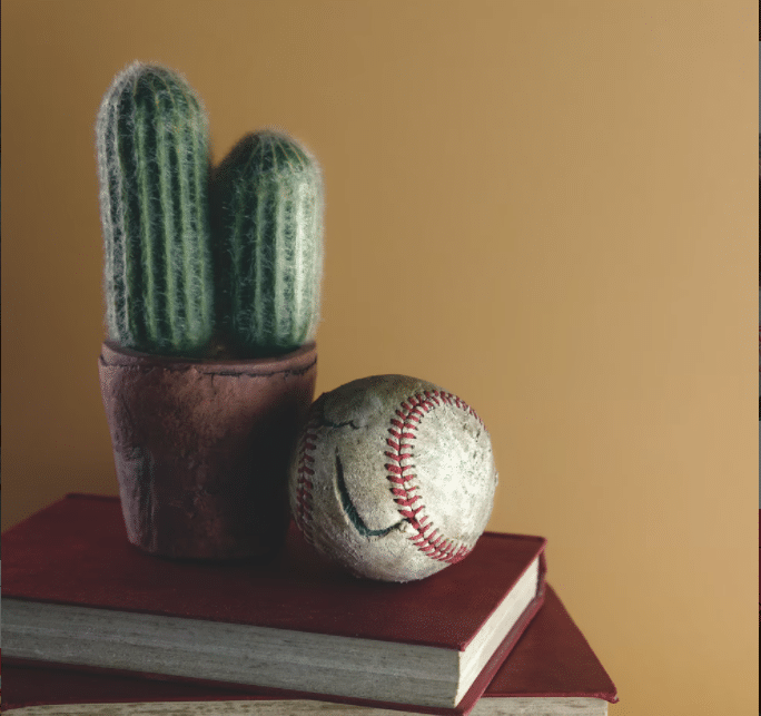 Baseball Books for Your 2022 Reading List